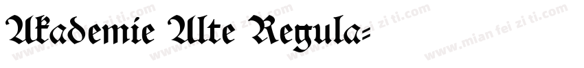 Akademie Alte Regula字体转换